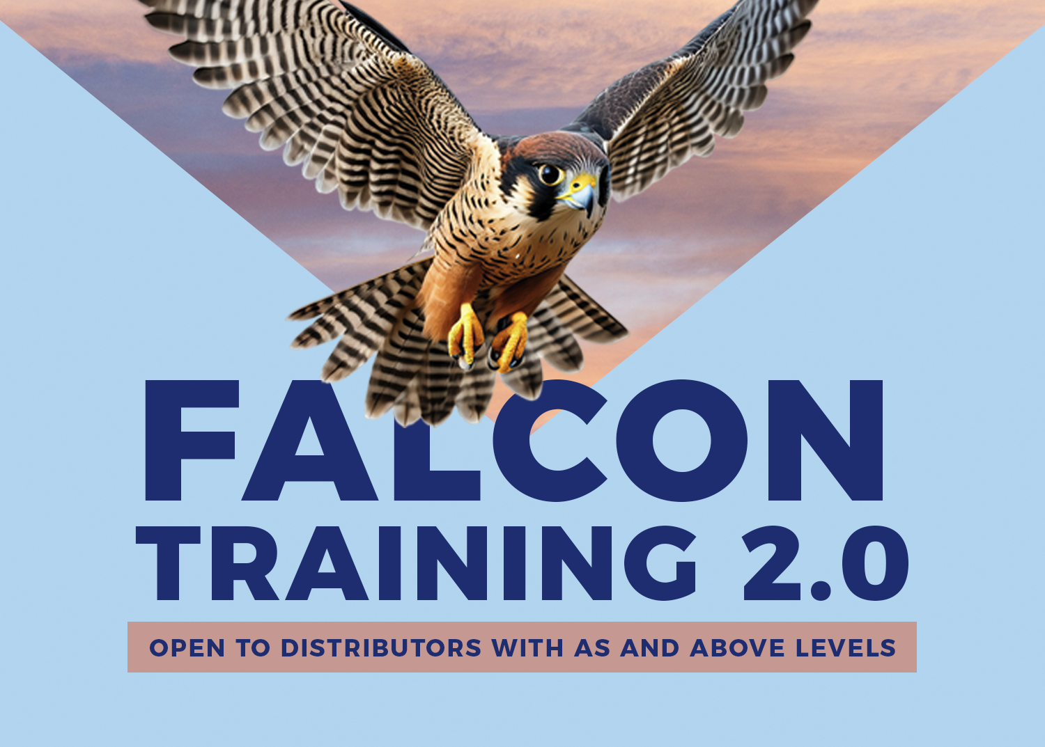 Falcon Training 2.0